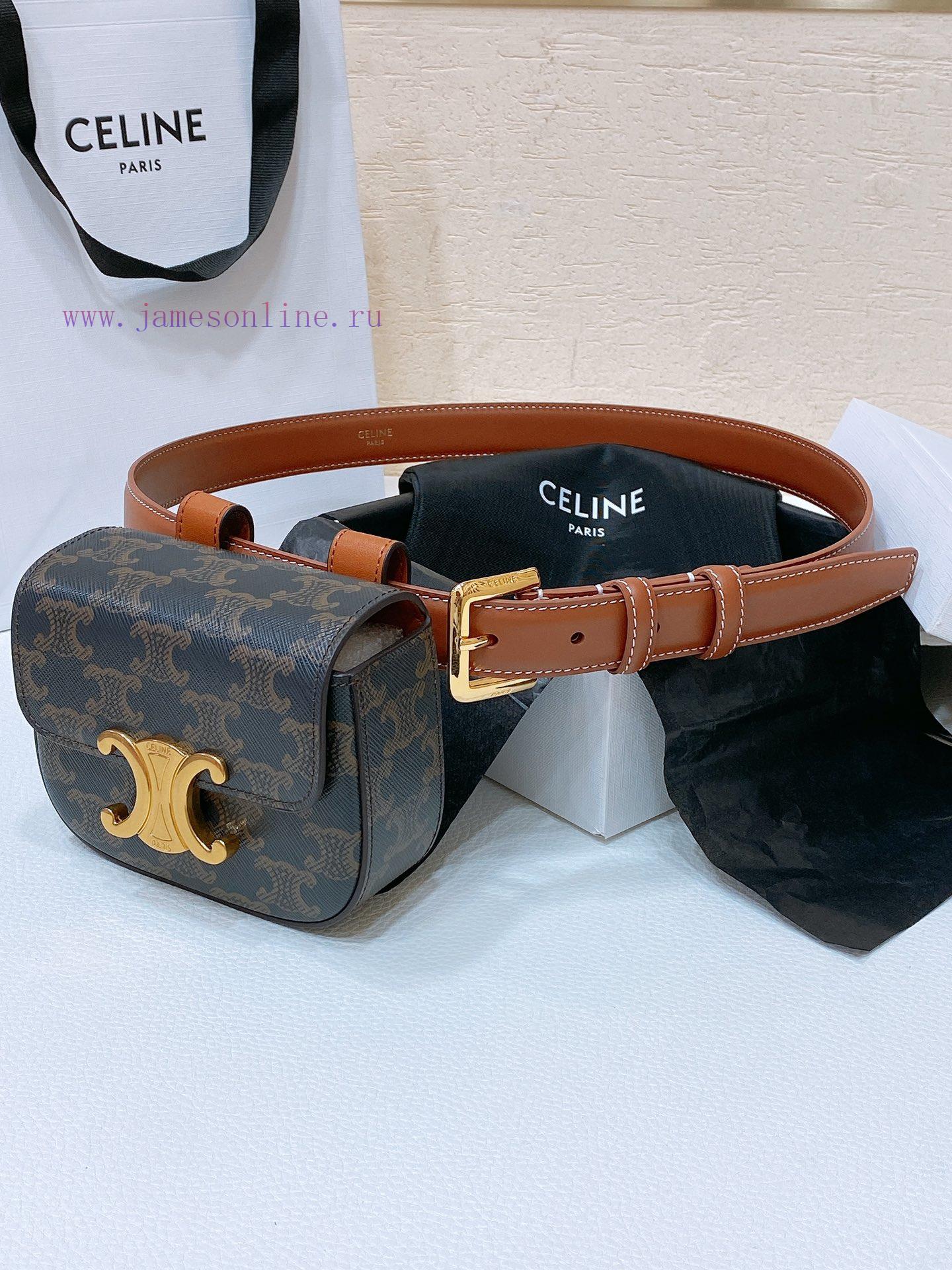 Celine Mini Belt Bag Celine Triumphal Arch Mini Waist BagAuthentic replica, with perfect det wi1bxrz8 - Image 2