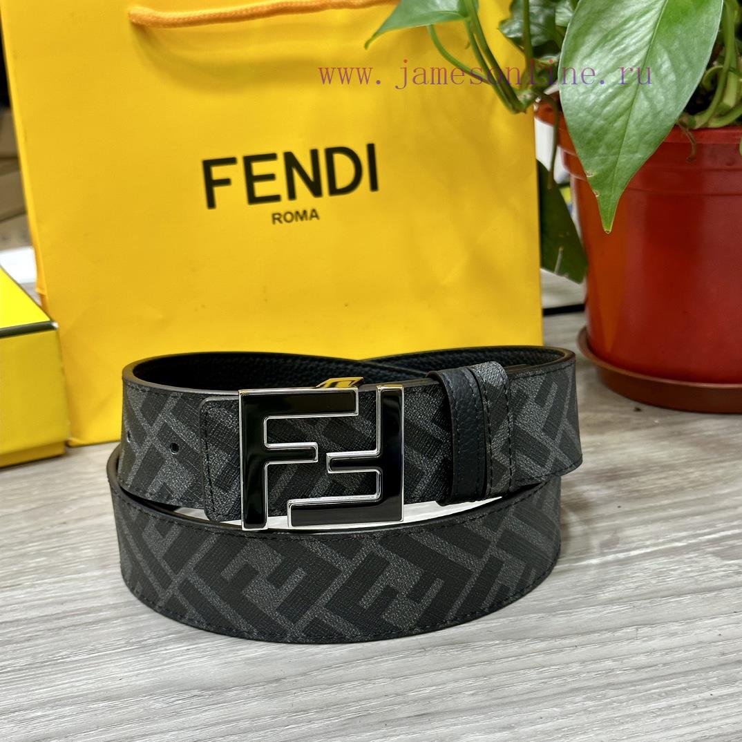 FENDI FendiFull set of the same width 4.0CM double ring front and back waist belt FF nail bu 1manh2d1 - Image 5